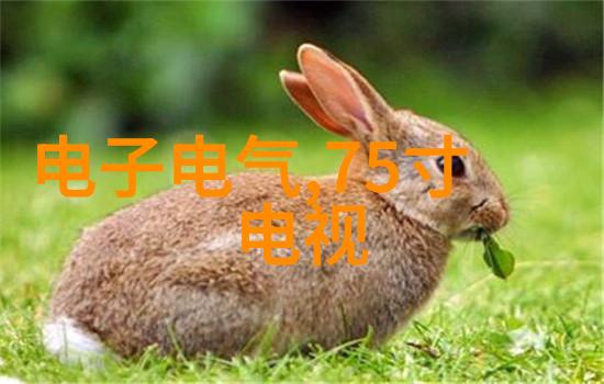 水电包工包料预算大师从零到英雄的逆袭之旅