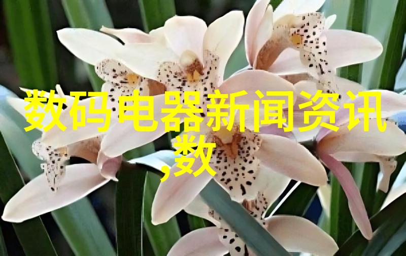 邻近不锈钢的故事探索材料与生活的交织