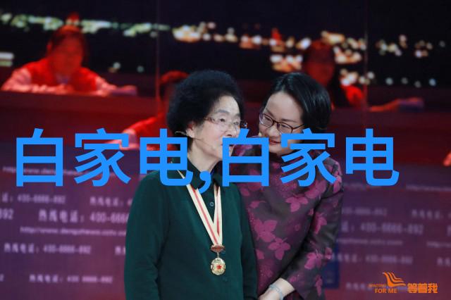 BRANDILOVEMISSIONARYACTION-跨文化交流与爱的使命行动
