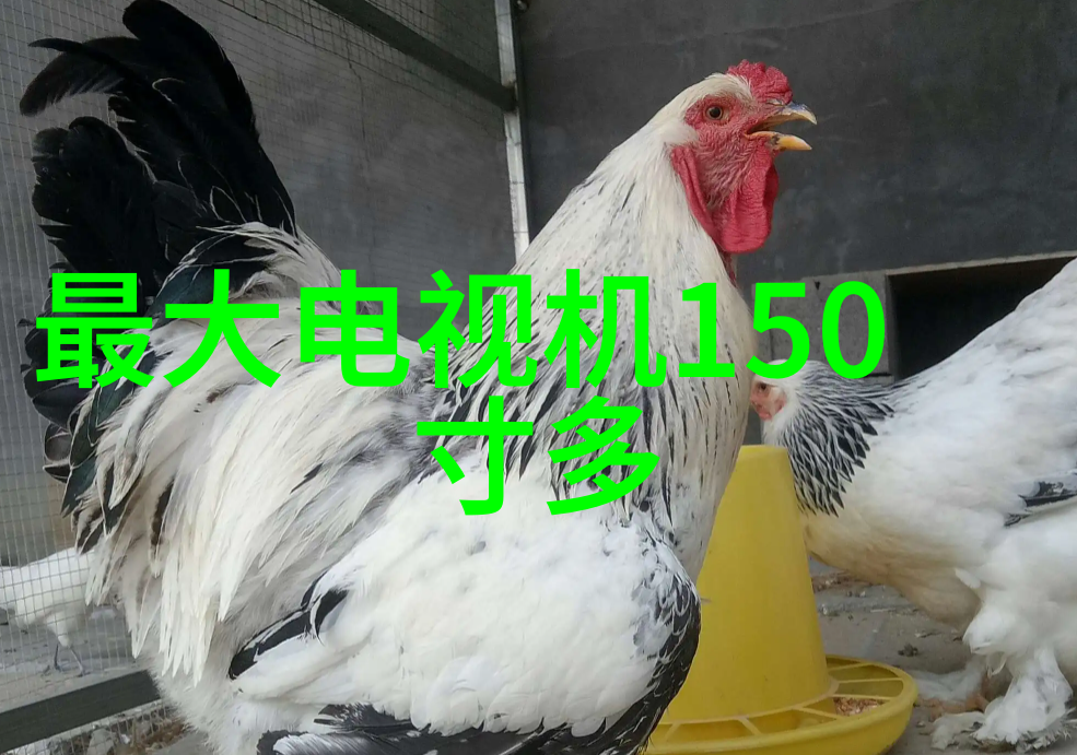 过滤油水分离技术的发展与应用概述