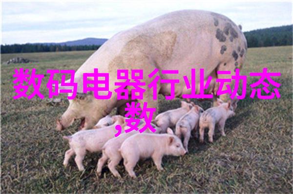 绿色化学和环境友好型方法发展可持续性DNA微阵列技术
