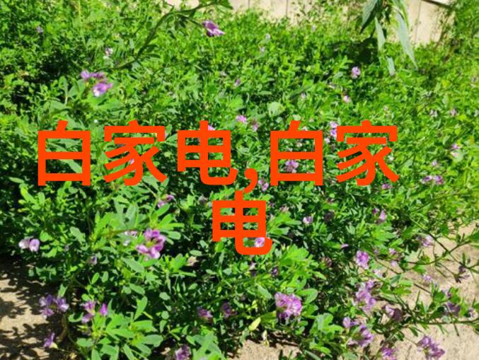污水清流小型处理系统的奇迹之价