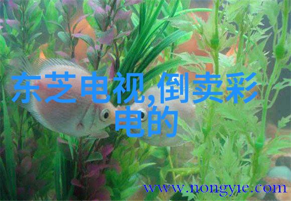 制冷设备有限公司守护清凉的温度专家