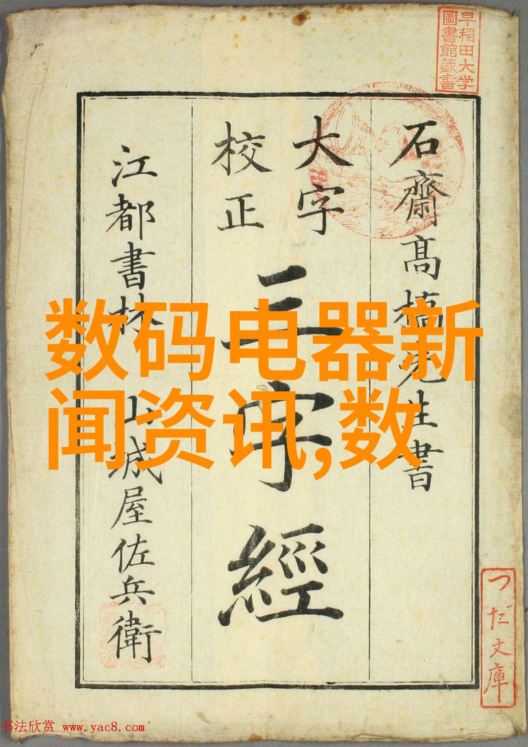 我应该在家里安装厨房下水油水分离器还是直接联系专业清洁服务