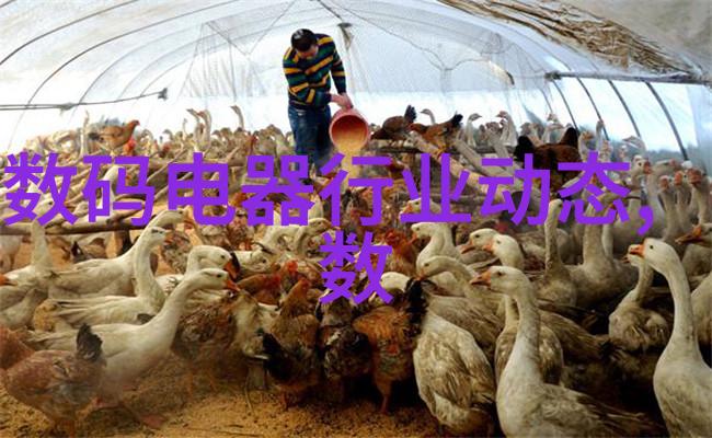 捏一节课揭秘英语老师无罩的教学秘密