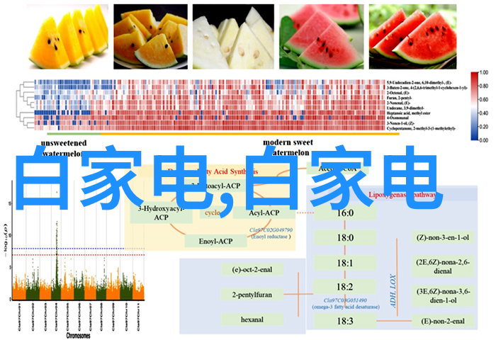 厨房装修效果图大全2013图片家居美学设计大师作品集