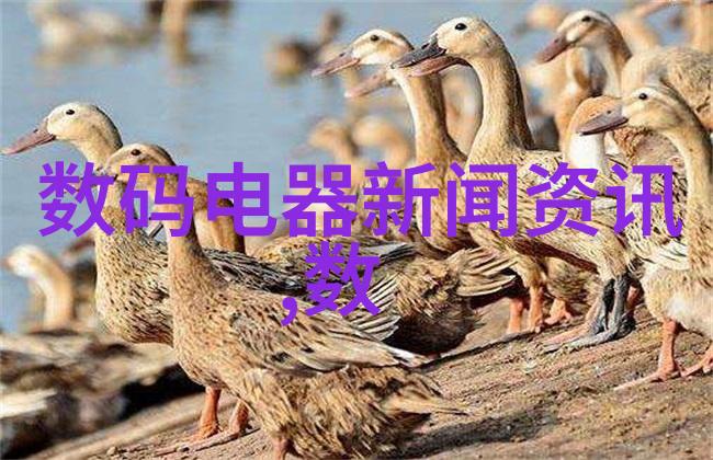 中国十大汽配城我来告诉你这10个超火的补零件地