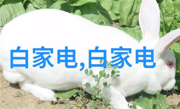 中式客厅装修艺术传统风韵与现代生活的完美融合