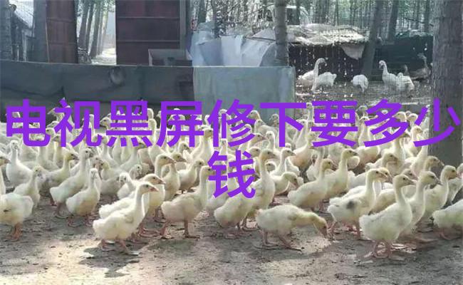 链条中的一环传动带的作用与选择