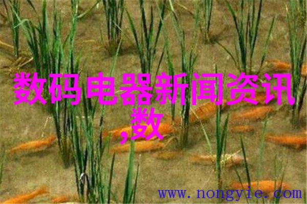 新城镇建设中PPR和PE自来水管的选择策略