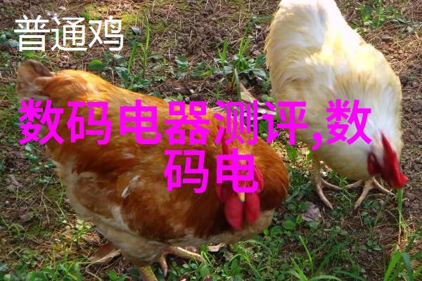 总裁干了这碗绿茶我是他身边的小助理我亲眼见证了这一幕