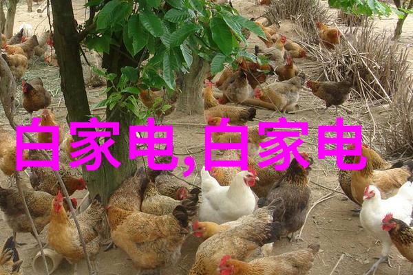 折弯的精髓不锈钢剪板加工中的艺术与力量对决