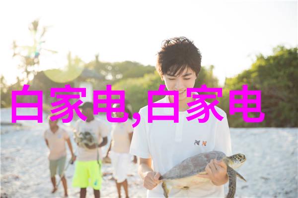 激情点燃从平凡的生活到不寻常的旅程