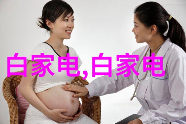 带式干燥机高效能湿物品快速除湿设备