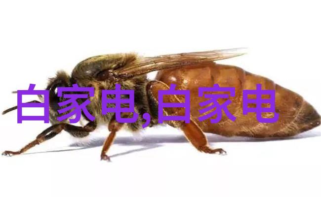 饮用水水质检测价格我是如何在网上找到最划算的检测服务