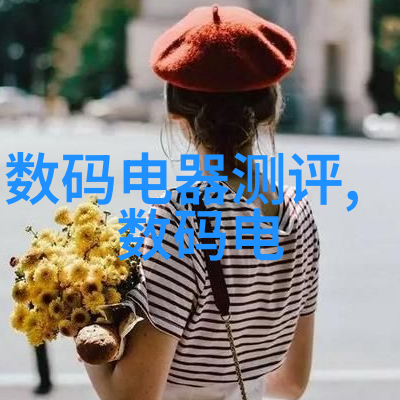 水电预埋费用探究揭秘每平方米的成本标准