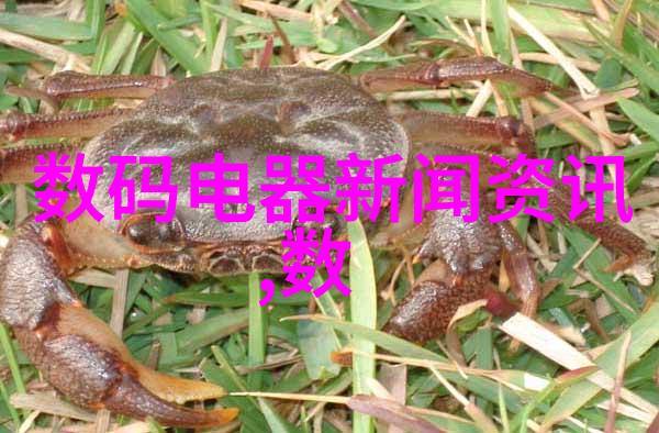 河流的生命线水利水电检测技术的重要性与挑战