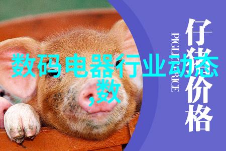 上证红利510880市盈率走势预测市场动向揭秘