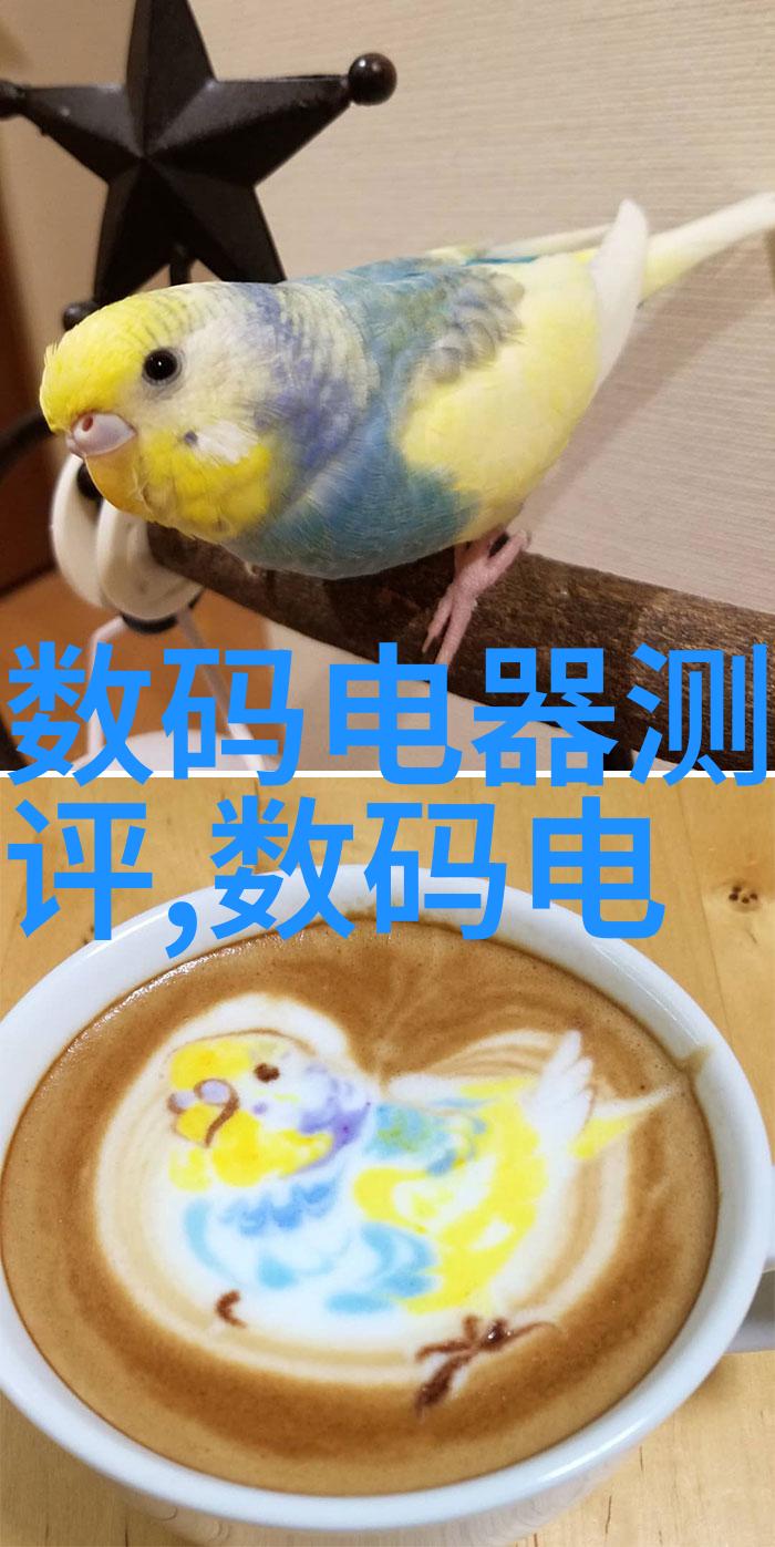 探索未知的领域解密R字背后的奥秘