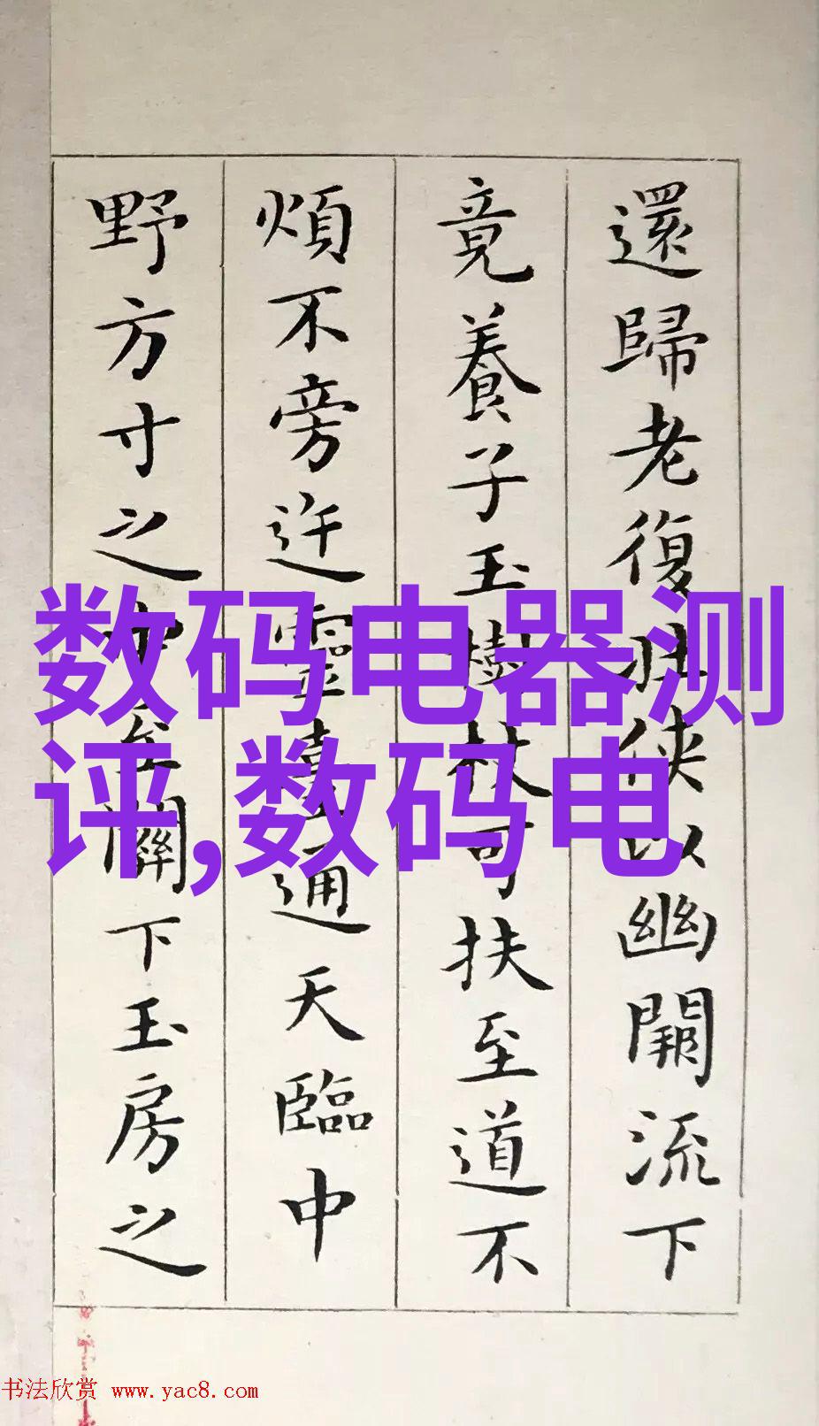 翡翠森林的秘密波纹丝网填料的奇迹