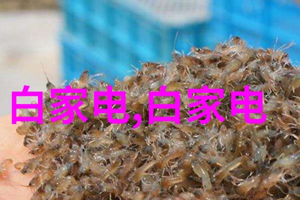 水产养殖之翼测水质仪器的智慧航道