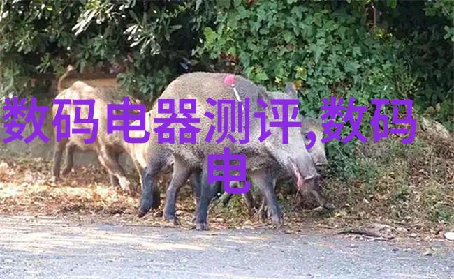 塑料制品加热器系统