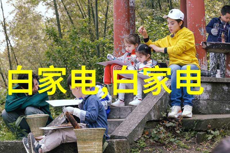 住房和城乡建设局职能概述保障居住质量与推动城市发展