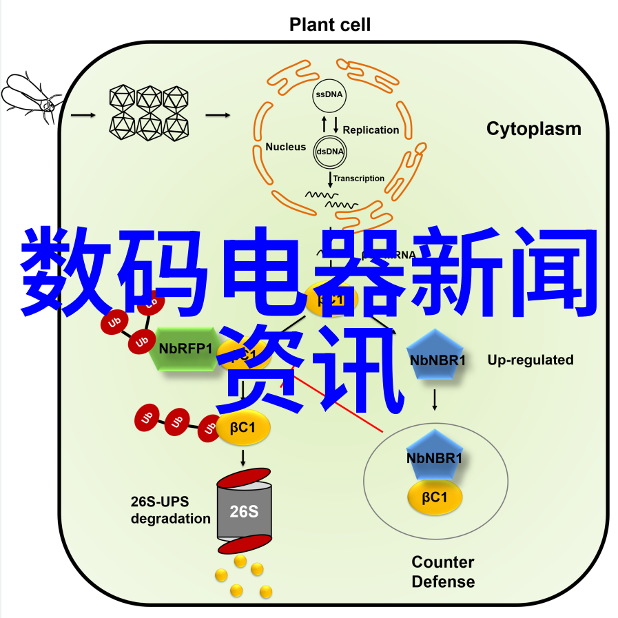 荣耀8最快6月发布 或支持无线充电配双镜头