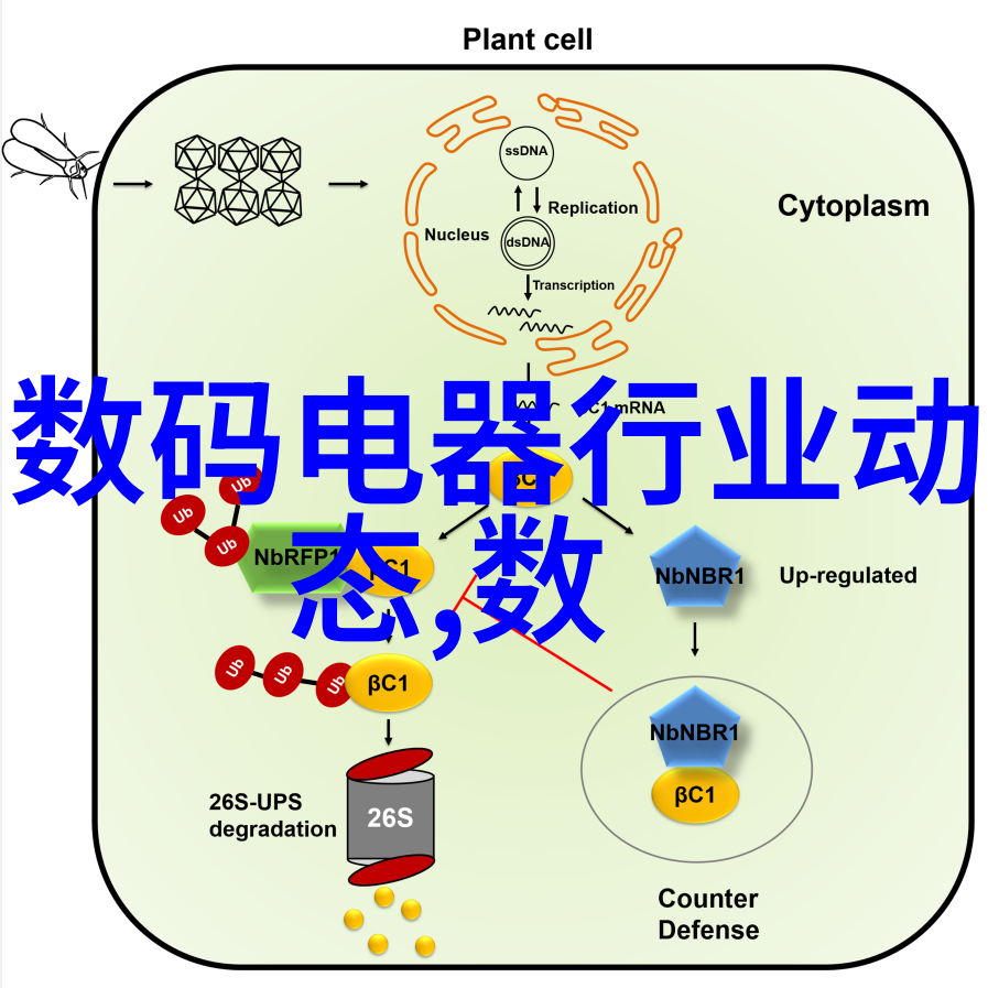 pvc管与ppr管的区别-塑料管材选择指南PVC管与PPR管的差异解析
