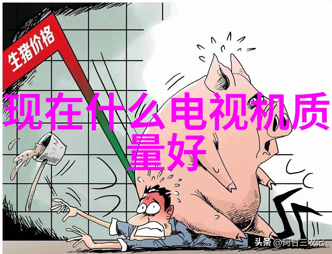 镜头下的中国摄影艺术的绚烂篇章