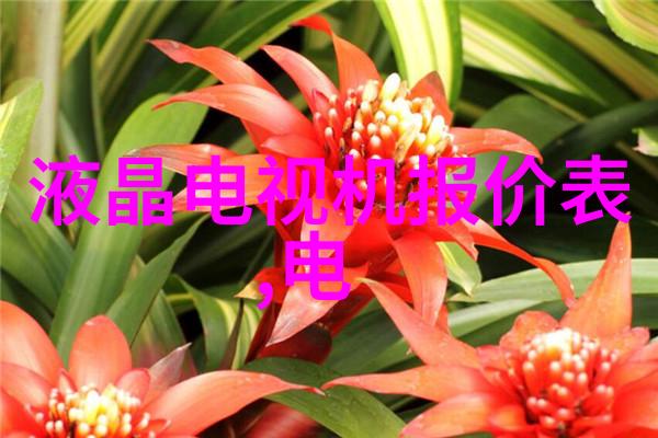 焦点不在人群我错过了生活关于我放弃成为专业摄影家的决定书信