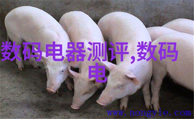 塑料破碎机800型市场价格分析与购买指南