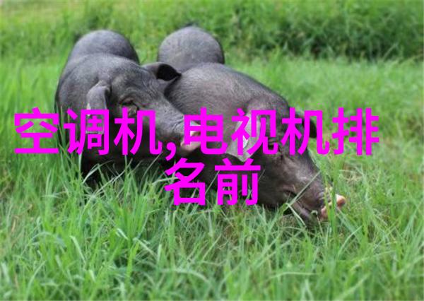 油水分离器在日常生活中扮演哪些重要角色