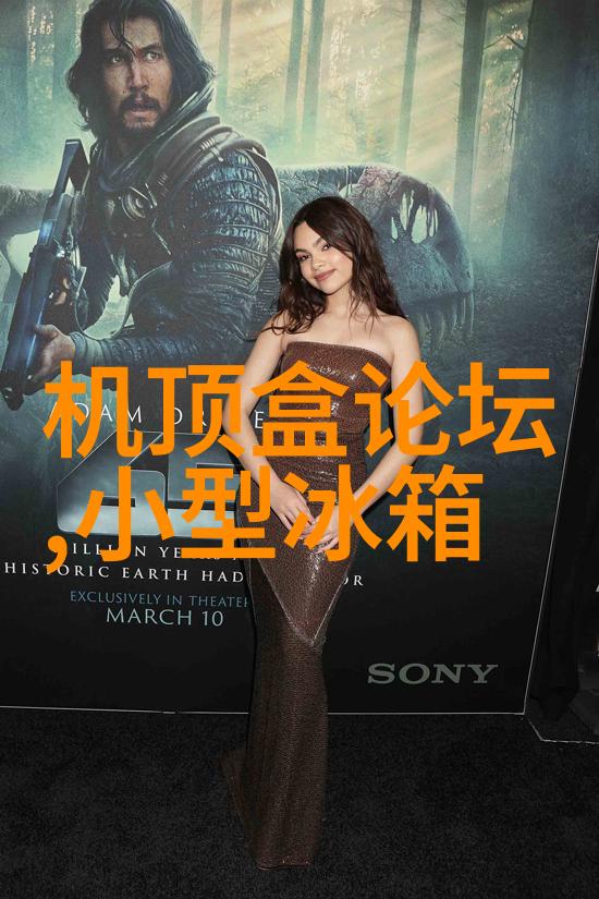 青春回忆录娇小VEDIOS的秘密世界