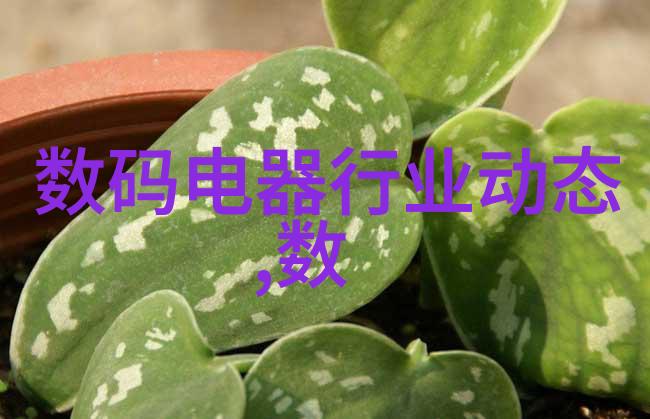 个股选择时应重点关注哪些因素