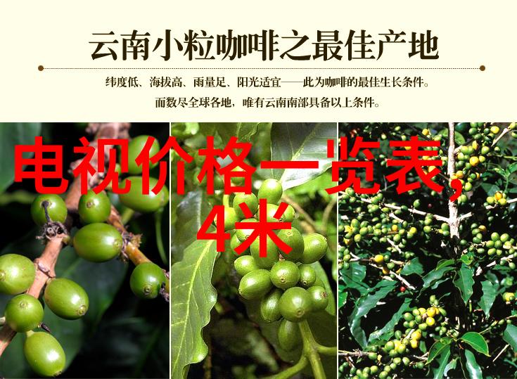 蒸汽奇迹揭秘蒸汽发生器的幽默原理