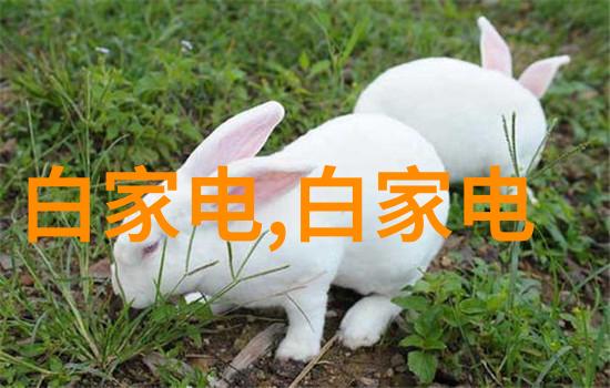 公交车后车座的疯狂CGH我的惊魂记