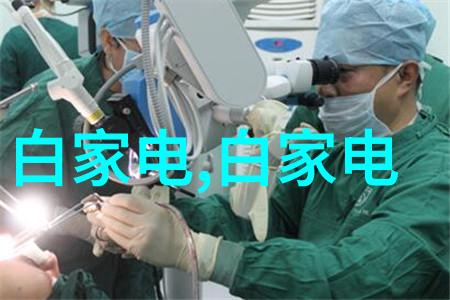 小巧灵活的厨房伙伴两相电搅拌机的魅力与实用性