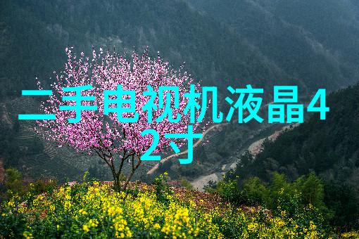 电热蒸汽发生器高效能温水供暖解决方案