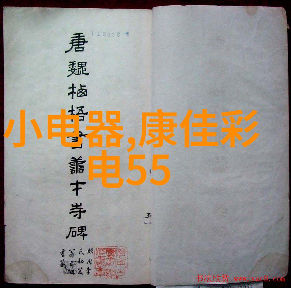大专市场营销专业人才的就业前景展望机遇与挑战共存
