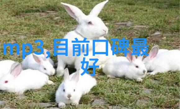 膜分离技术在水处理中的应用实例