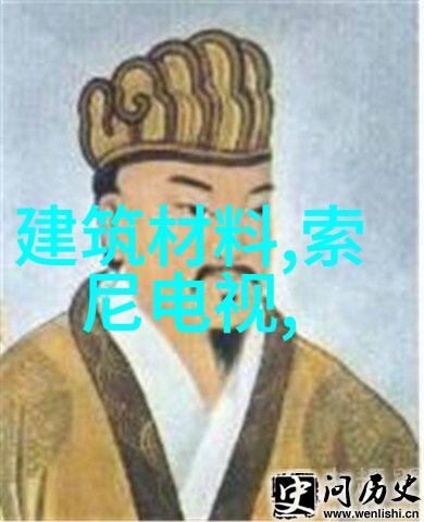 华为麒麟9010芯片代工伙伴揭秘行业内的关键合作关系