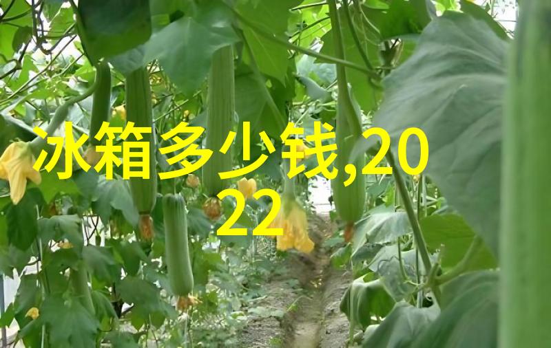 国产新冠特效药的希望三大创新药物引领抗疫新篇章