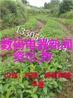 冷却技术的进步与生活品质的提升