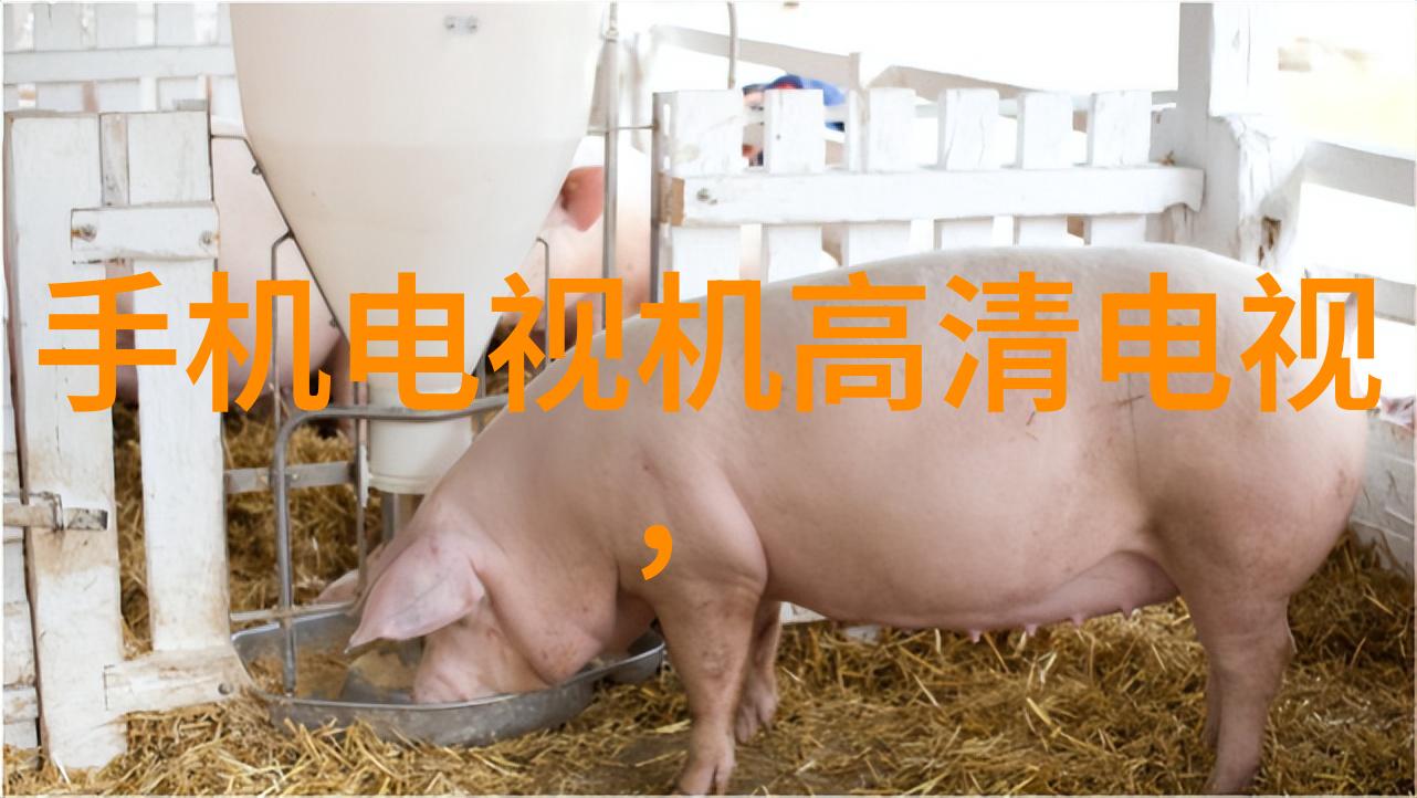 韩剧迷的双面妆一面遮掩岁月一面展现时尚