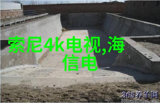 为何我的申请报告总是被拒有什么改进方法吗