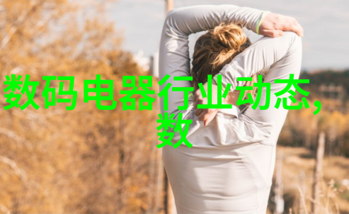 搜神记揭秘古代神仙奇事与道教修炼之谜
