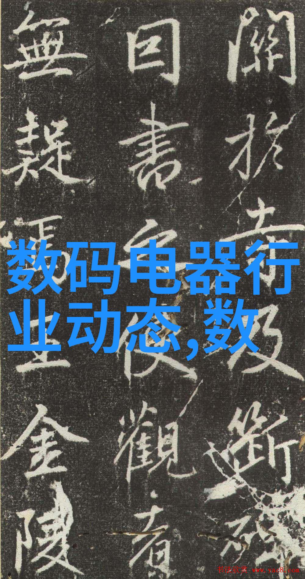 仙踪林亲子大联欢