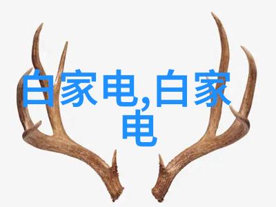 恒温恒湿之舞展柜的静谧守护者