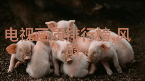 网络通讯-RJ45接口的应用与维护技巧